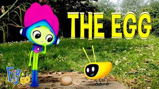 Fig & Bo | Season 1 | Episode 7| The Chicken and the Egg | Animation for Kids