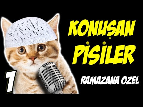 RAMAZANA ÖZEL KONUŞAN KEDİLER ORUÇ TUTUYOR 😋😋😋