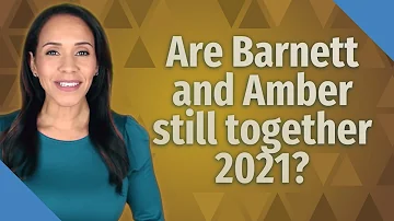 Who is Amber Heard's partner now?