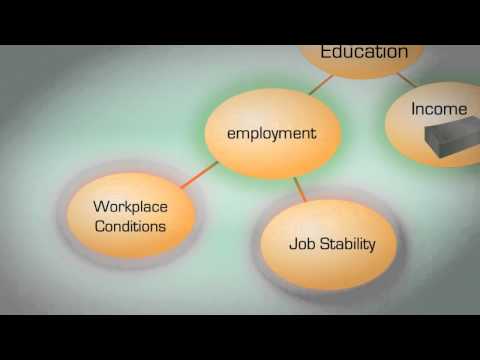 Social Determinants of