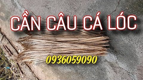 Bán cần câu cắm cá lóc sỉ, lẻ. Ship toàn quốc 0936059090.