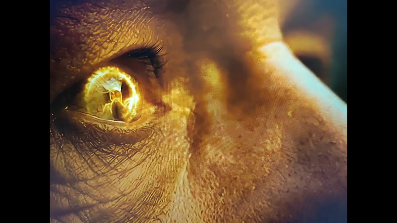 EDM STORM  - Stellar Blade4K An Original Future Bass Epic & Visual Ode to the Spirit of Middle earth