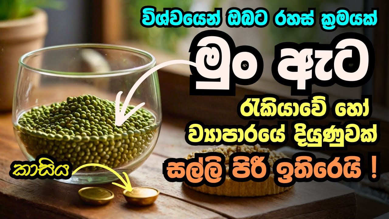 මුං ඇට ස්වල්පයක් අතට ගෙන මෙසේ කරන්න 💫💰 ව්‍යාපාරික සහ මූල්‍ය දියුණුව නිවසට කැඳවන රහස Wishwa Shakthiya