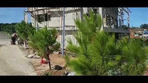 Bán lô đất nghỉ dưỡng mặt đường Lạc Long Quân Lộc Quảng Bảo lâm