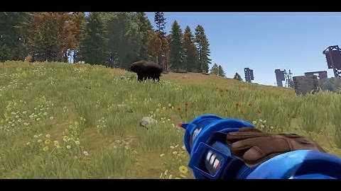 What a 100 hour player does on a dead server | Rust