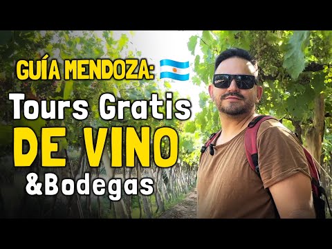 Video: Bodegas del norte de Georgia, degustación de vinos y visitas guiadas