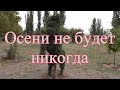 Осени не будет никогда