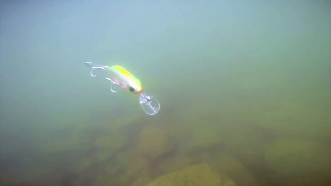 Test nage Leurre Kingdom 6504 coulant AliExpress