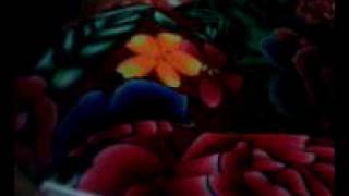 Copy of MOV0201A.avi