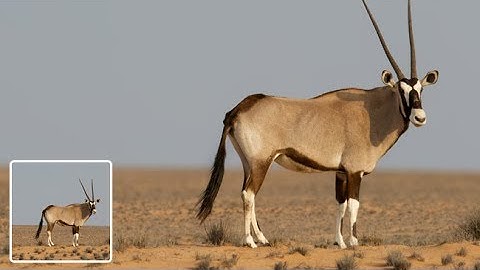 How to Create a Tilt-Shift Effect in Photoshop