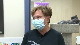 Quincy homeless pet adoptions