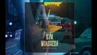 Воскресенский- Шум молодёжи (Bxston Remix)