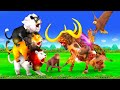       3 sher aur zombee bail three lions and zombie bull trap animal stories