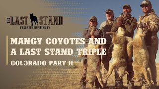 Mangy Coyotes & A Last Stand Triple! Colorado Part 2 | The Last Stand S4:E6