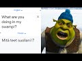 What are you doing in my swamp!? in different languages meme