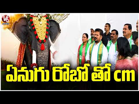 CM Revanth with a Massive Elephant At Gurram Guda | V6 News - V6NEWSTELUGU