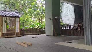 Precision Heavy-Lift Delivery: Single-Point Payload Release Test | X10 FPV Drone