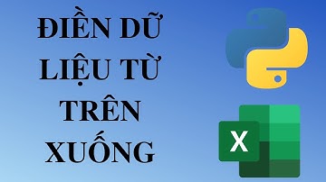 Nhập Liệu Vào Dòng Trống Từ Trên Xuống - Pyhon Cơ Bản - Python cho Excel - Python Cho Dân Văn Phòng