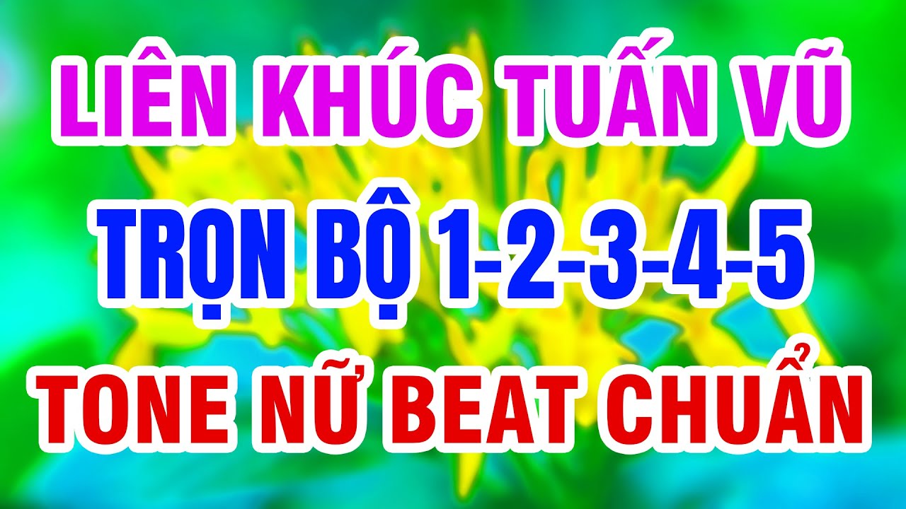 Karaoke Liên Khúc Tuấn Vũ Tone Nữ Trọn Bộ Vol 1,2,3,4,5 - karaoke lk tuan vu tone nữ