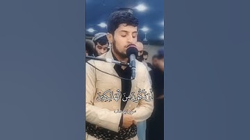 سورة يوسف _ جيكر سردار