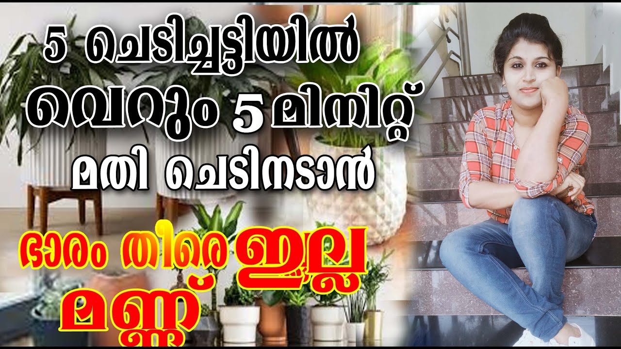 ചെടി നടാൻ മണ്ണും വളവും വേണ്ട തൈകളും ഇലകളും വന്ന് നിറയും/good potting mix/easy potting mix/മരപൊടി