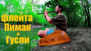 Этническая Музыка Леса / Погружение в Лесные Глубины / Гусли и Флейта Североамериканских Индейцев