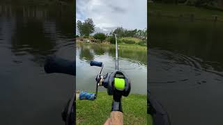 Shimano Curado 201Xg