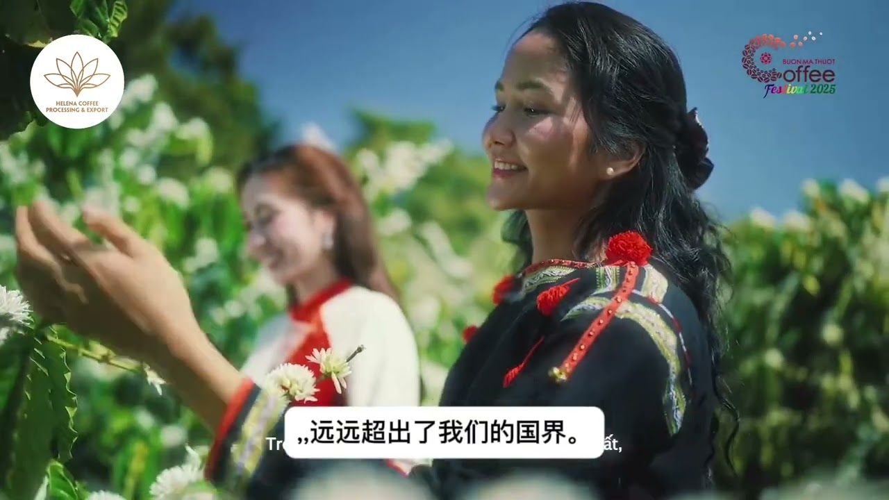 ☕ 越南咖啡的秘密 | 海伦娜咖啡 | 从农场到咖啡杯的旅程 | 越南阿拉比卡咖啡和罗布斯塔咖啡供应商 | Helena Coffee Vietnam
