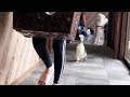 新居でもママにべったりなペンギン