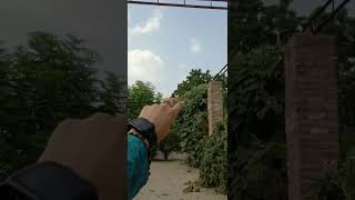 Download Lagu 13 July 2023 MP3