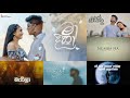 Hits Of DILU Beats❤️‍🔥 | Dilu Beats හොඳම ගීත එකතුව | MR GSS