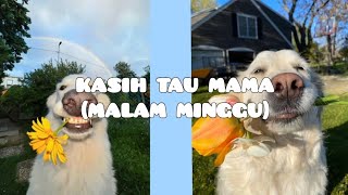 kasih tau mama(malam minggu) - rombongan bodonk koplo (lirik)