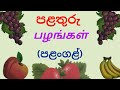 Tamil Language Learning Learn Tamil In Sinhala Fruits