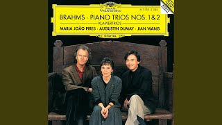Video thumbnail of "Maria João Pires - Brahms: Piano Trio No. 1 in B Major, Op. 8 - I. Allegro con brio"