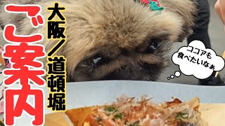 【大阪／ミナミ】ここ見て!!コレ食べて!!愛犬と巡る観光オススメスポット＆食べ物紹介します♪