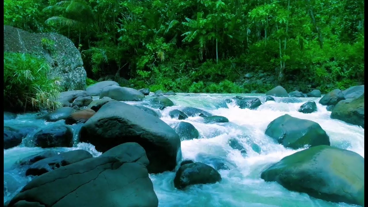 Beautiful Relaxing River  Nature Sounds Sleep Meditation Study Stress Relief Mindfulness