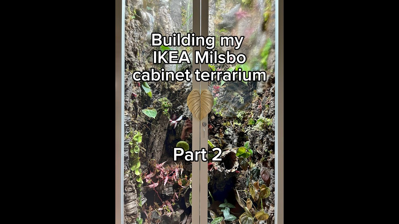 Part 2 of my IKEA Milsbo build terrarium terrariumplants 