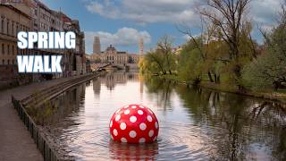 Spring Walk in Central Oradea, Romania | Crișul Repede Riverside | 4K HDR ASMR screenshot 3