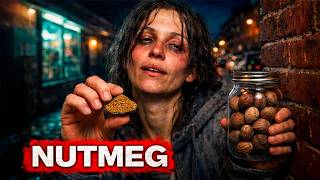 The Complete History of Nutmeg: The Hallucinogen in Your Kitchen — The Spice of Madness