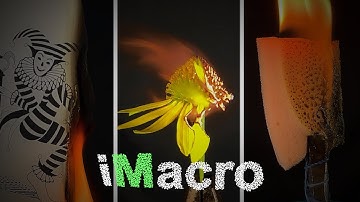 Burning things gas burner close up | macro photography | macro video | ASMR