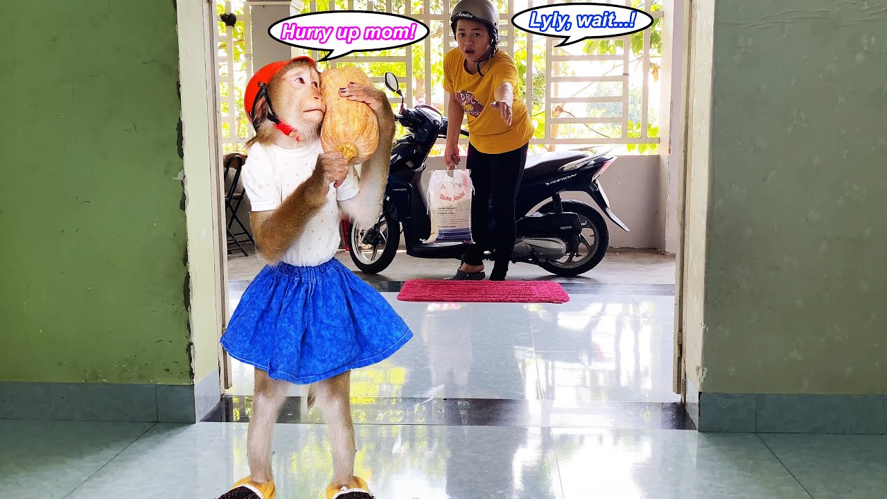 Лили... помедленнее! Обезьянка Лили поспешила домой с рынка и приготовила своё любимое фирменное ...