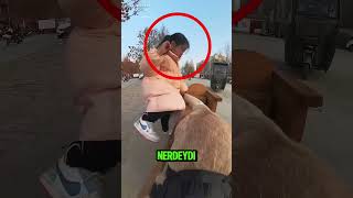 Hizmetçisi Var Sanki Bunlarında