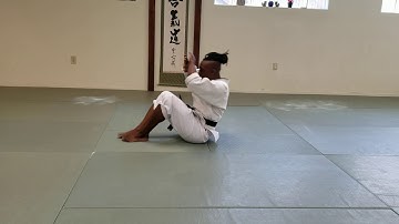 Ushiro Ukemi - Backfall Practice