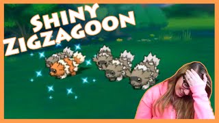 Horde Shiny Hunting - THREE Zigzagoon! Pokemon Alpha Sapphire [Twitch Highlight]