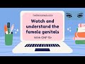 Reproductive anatomy of female II: Tubular genitalia & external genitals