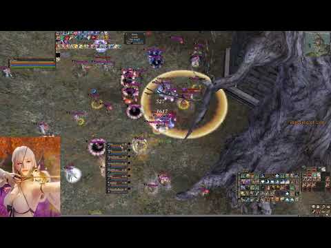 Amerika TW & zone & lindvior trick gladi warlord domi - Amerika High Five PvP