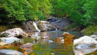 Serene Mountain River: 12 Hours of Soothing Nature Sounds for Deep Sleep and Meditation