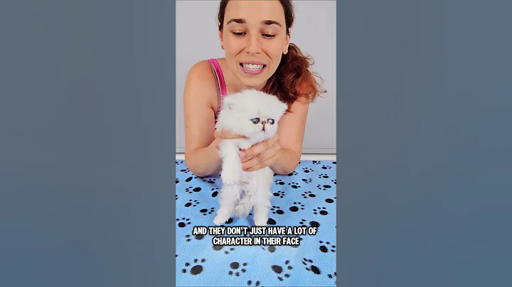 Watch the video about FUGLY GLISH