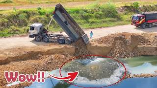 Skills​ Transaction Bulldozer KOMATSU, Processing Filling Up The Land huge, Dump Truck 25Ton