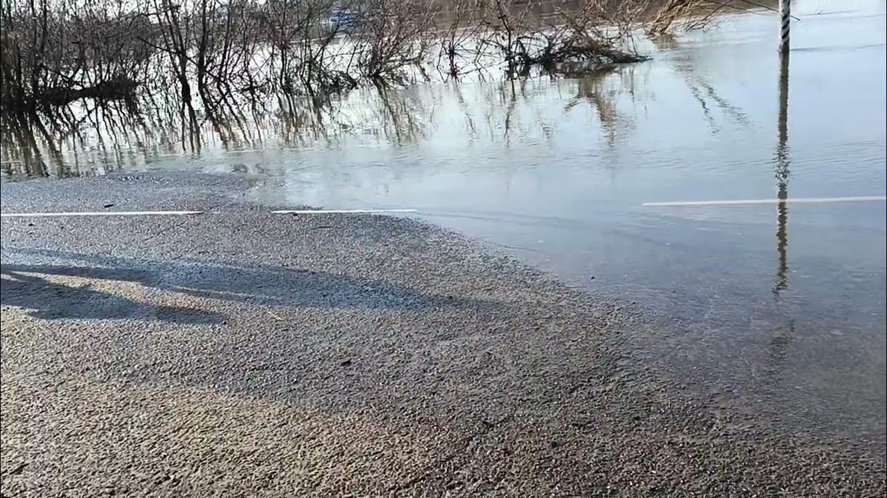 Потоп реки Оки.